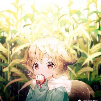 提升减肥成功率的小技巧
